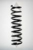 SPIDAN 55111 Coil Spring